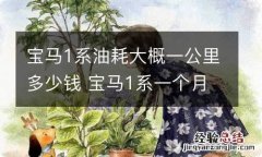 宝马1系油耗大概一公里多少钱 宝马1系一个月油费多少