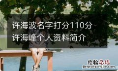 许海波名字打分110分 许海峰个人资料简介