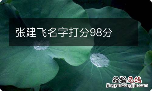 张建飞名字打分98分
