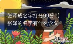 张泽的名字有什么含义 张泽成名字打分99分