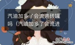 汽油加多了会流进碳罐吗视频 汽油加多了会流进碳罐吗