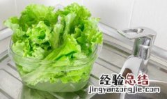 生菜苦怎么去除苦味 生菜发苦怎么去除苦味