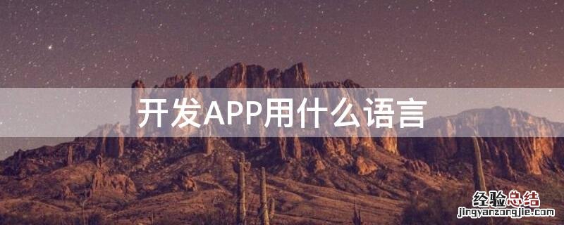 开发app用什么语言开发 开发APP用什么语言