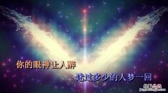 在你眼里我到底算什么