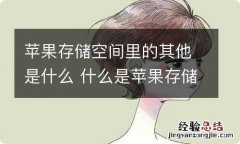 苹果存储空间里的其他是什么 什么是苹果存储空间里的其他