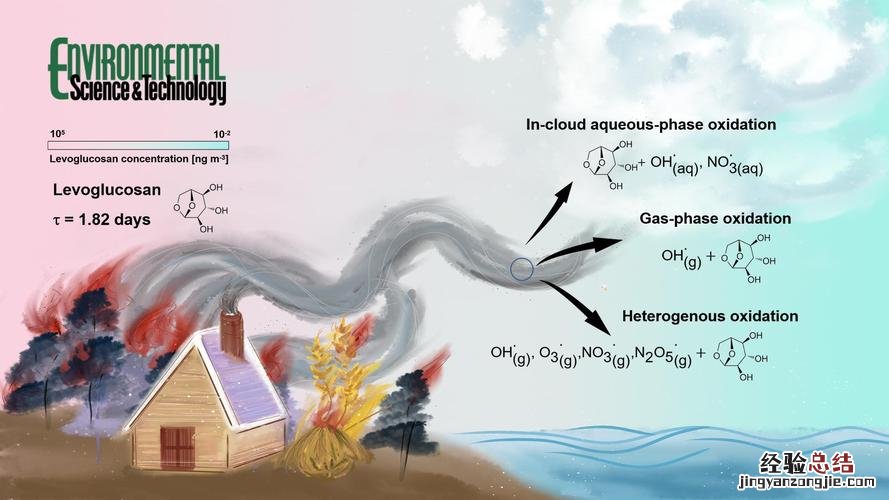 生物氧化的特点