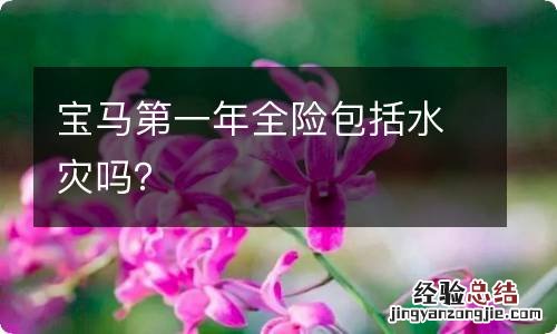 宝马第一年全险包括水灾吗？