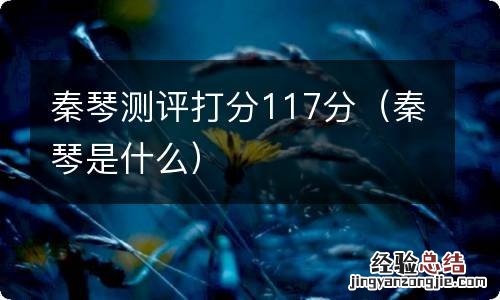 秦琴是什么 秦琴测评打分117分