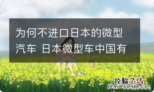 为何不进口日本的微型汽车 日本微型车中国有卖吗?