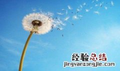 教师节的句子感谢老师的 教师节的句子感谢老师的推荐