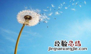 教师节的句子感谢老师的 教师节的句子感谢老师的推荐