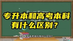 本科和专科有什么区别