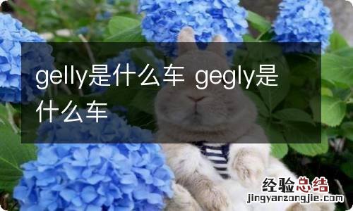 gelly是什么车 gegly是什么车