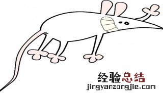 有效灭老鼠方法 灭老鼠最有效的方法是什么
