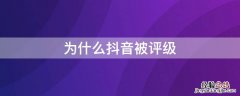 为什么抖音被评级 抖音为什么会被评级