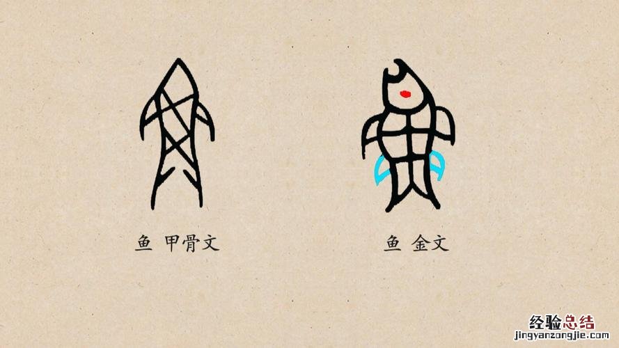 舍求什么的四字成语