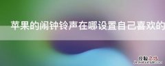 iPhone的闹钟铃声在哪设置自己喜欢的音乐