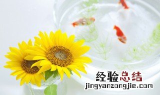 白花鱼是什么鱼 白花鱼好吃还是鲈鱼