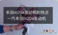 丰田m20a发动机的特点 一汽丰田m20a发动机