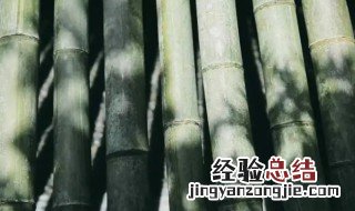 竹子发霉怎么处理黑斑 竹叶发霉怎么处理黑斑
