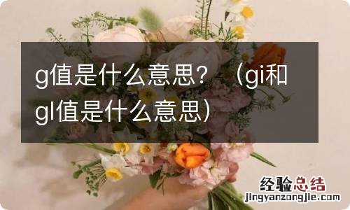 gi和gl值是什么意思 g值是什么意思?