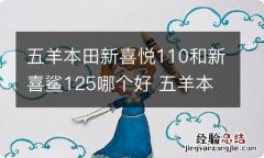 五羊本田新喜悦110和新喜鲨125哪个好 五羊本田喜悦110对比喜鲨