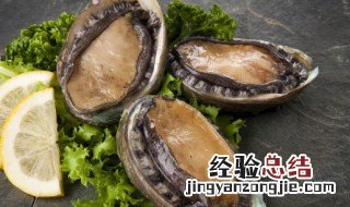 鲍鱼怎么保存到第二天 鲍鱼怎么保存一晚上