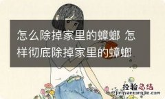 怎么除掉家里的蟑螂 怎样彻底除掉家里的蟑螂