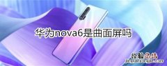 华为nova6是曲面屏吗