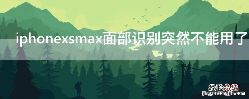 iPhonexsmax面部识别突然不能用了