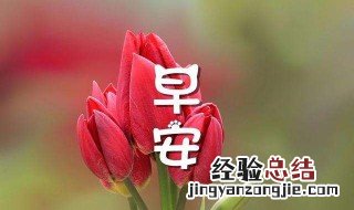 暖心的早晨问候短句文案 暖心的早晨问候短句