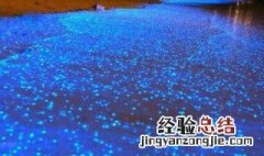 沸水能够杀死海洋中的微生物吗 沸水能杀死海洋中所有的微生物吗