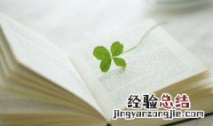 仙气又有点可爱的网名 仙气又有点可爱的网名女生