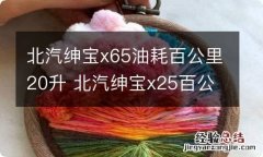 北汽绅宝x65油耗百公里20升 北汽绅宝x25百公里油耗多少