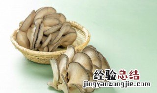 蘑菇为什么长白毛 蘑菇为什么长白毛了