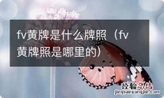 fv黄牌照是哪里的 fv黄牌是什么牌照