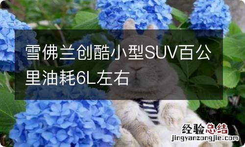 雪佛兰创酷小型SUV百公里油耗6L左右