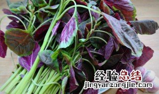 苋菜根要去除吗怎么吃 苋菜根要去除吗