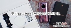 华为mate30pro充电指示灯在哪里