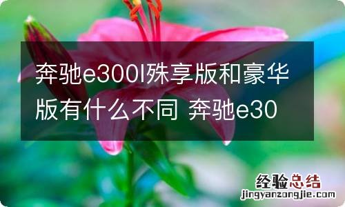 奔驰e300l殊享版和豪华版有什么不同 奔驰e300l尊贵版和豪华有什么区别