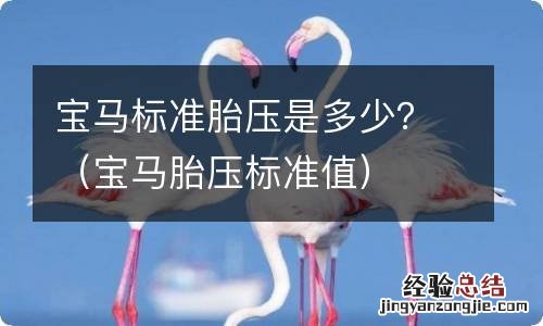 宝马胎压标准值 宝马标准胎压是多少？