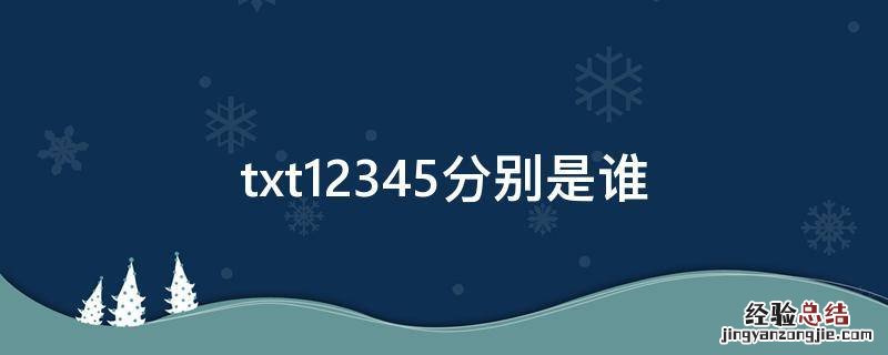 txt12345分别是谁