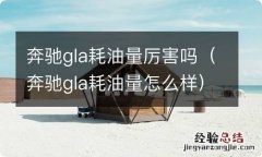 奔驰gla耗油量怎么样 奔驰gla耗油量厉害吗