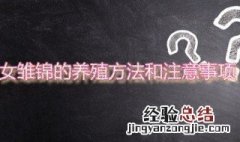 女雏锦的养殖方法和注意事项 女雏锦的养殖方法和注意事项