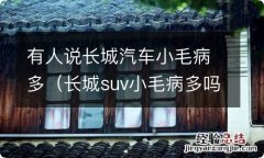 长城suv小毛病多吗 有人说长城汽车小毛病多