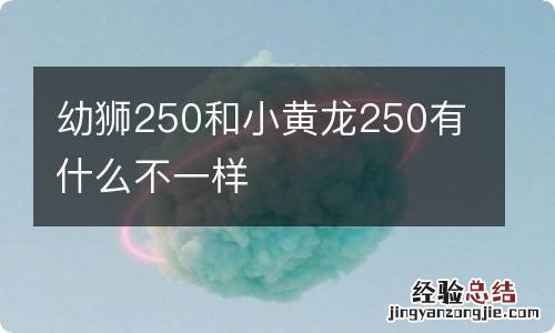 幼狮250和小黄龙250有什么不一样