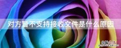 对方暂不支持接收文件是什么原因