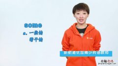 some什么意思中文