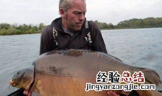 放生鲤鱼的好处 有什么解释