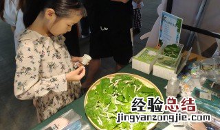 如何饲养蚕宝宝科学教案小班 如何饲养蚕宝宝